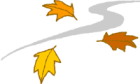 leaves