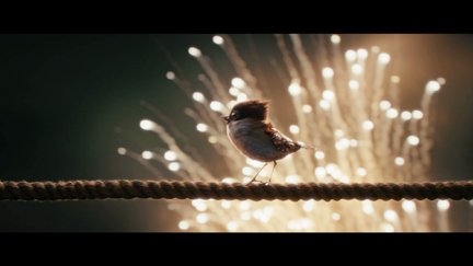 Tweet-Tweet